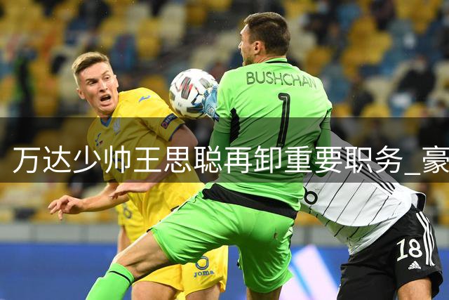 万达少帅王思聪再卸重要职务 豪门二代商业转型路径浮出水面