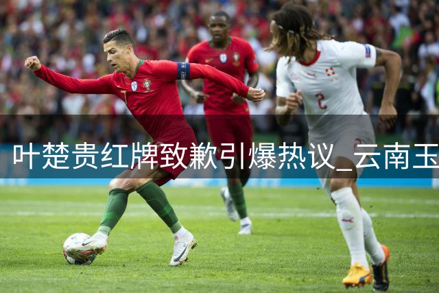 叶楚贵红牌致歉引爆热议 云南玉昆点球淘汰成都蓉城