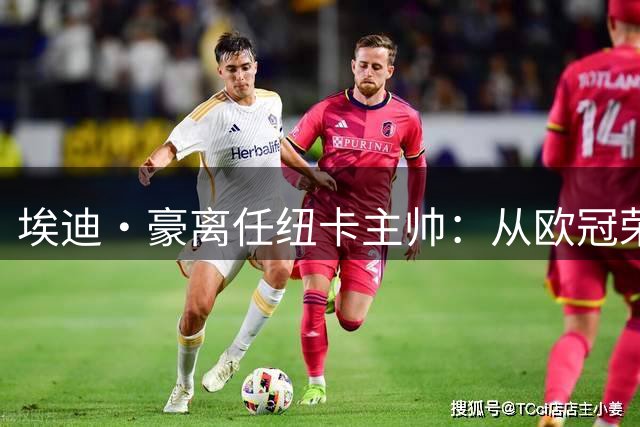 埃迪·豪离任纽卡主帅：从欧冠荣耀到赛季滑铁卢